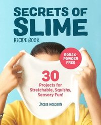 bokomslag Secrets of Slime Recipe Book: 30 Projects for Stretchable, Squishy, Sensory Fun!