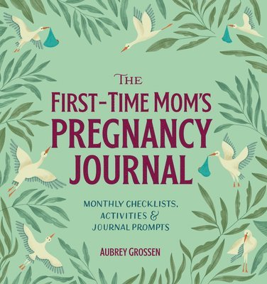 bokomslag The First-Time Mom's Pregnancy Journal