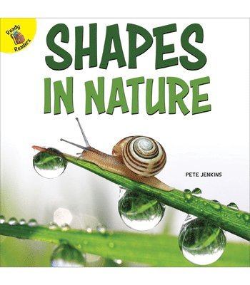 Pete Jenkins - Shapes in Nature, Häftad