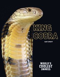bokomslag King Cobra
