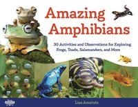 bokomslag Amazing Amphibians