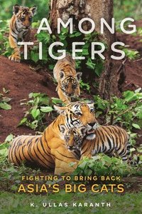 bokomslag Among Tigers
