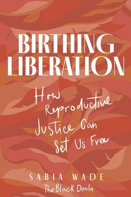 bokomslag Birthing Liberation