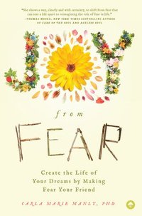 bokomslag Joy from Fear