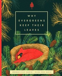 bokomslag Why Evergreens Keep Their Leaves