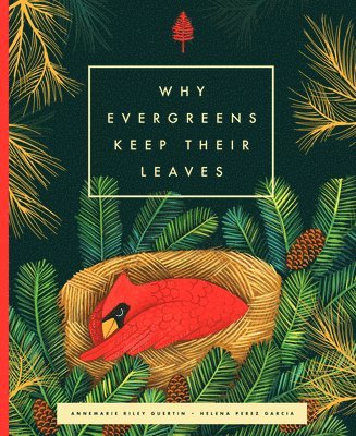 Annemarie Riley Guertin - Why Evergreens Keep Their Leaves, Inbunden