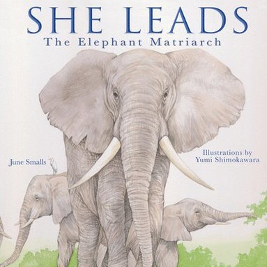 bokomslag She Leads