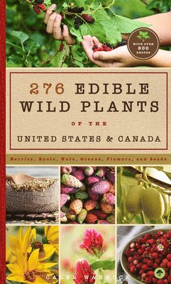 bokomslag 276 Edible Wild Plants of the United States and Canada