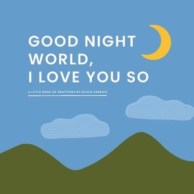 bokomslag Good Night, World-I Love You So