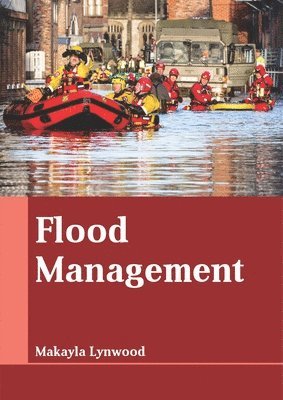 bokomslag Flood Management