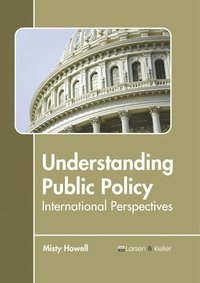 bokomslag Understanding Public Policy: International Perspectives