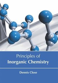 bokomslag Principles of Inorganic Chemistry