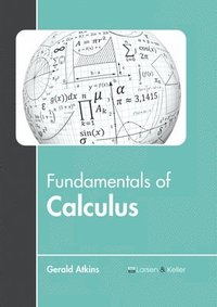 bokomslag Fundamentals of Calculus