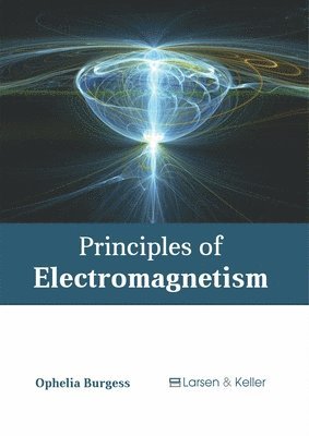 Principles of Electromagnetism