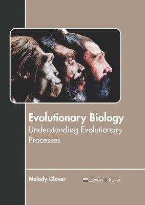 bokomslag Evolutionary Biology: Understanding Evolutionary Processes