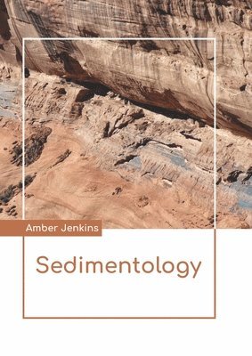 bokomslag Sedimentology