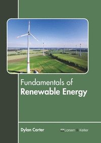 bokomslag Fundamentals of Renewable Energy