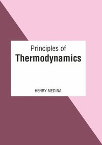 bokomslag Principles of Thermodynamics