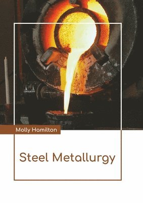 bokomslag Steel Metallurgy