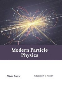 bokomslag Modern Particle Physics