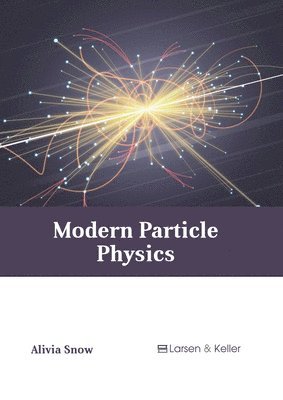 bokomslag Modern Particle Physics