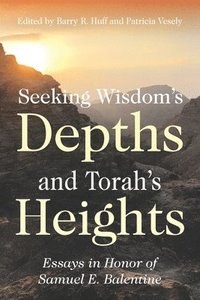 bokomslag Seeking Wisdom's Depths and Torah's Heights: Essays in Honor of Samuel E. Balentine