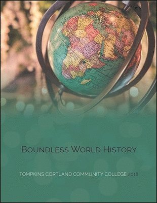 bokomslag Boundless World History