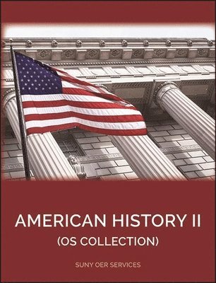 OpenStax, Anna Biel - American History II, Häftad