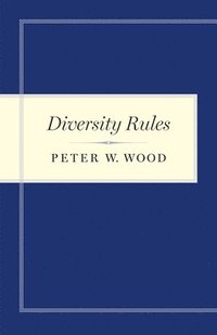 bokomslag Diversity Rules