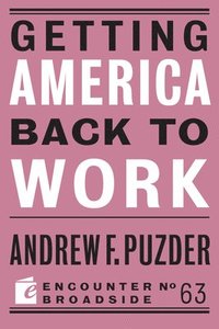 bokomslag Getting America Back to Work
