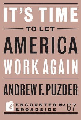 bokomslag It's Time to Let America Work Again