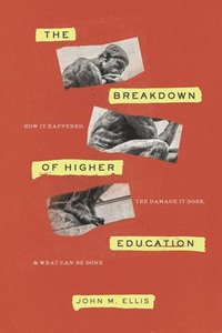 bokomslag The Breakdown of Higher Education