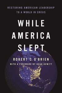 bokomslag While America Slept