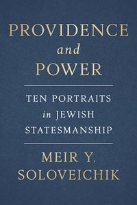 bokomslag Jewish Statesmanship