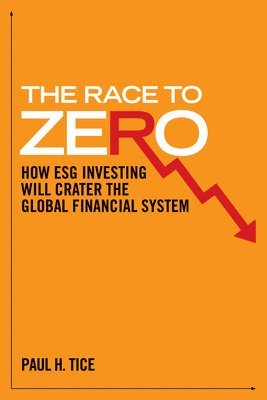 bokomslag Sustainable Investment Scam