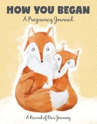 bokomslag How You Began: A Pregnancy Journal