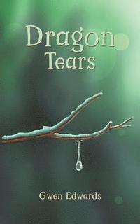 bokomslag Dragon Tears