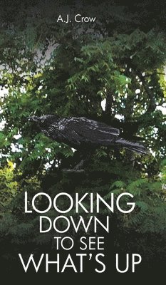 Looking Down to See What's Up