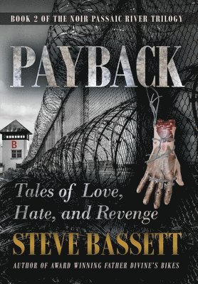 bokomslag Payback - Tales of Love, Hate and Revenge