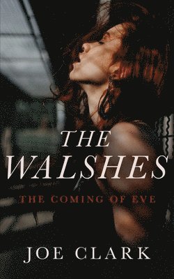 bokomslag The Walshes