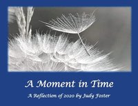 bokomslag A Moment in Time: A Reflection of 2020