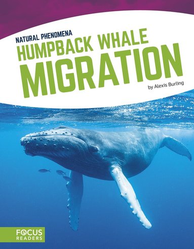 Alexis Burling - Humpback Whale Migration, Häftad