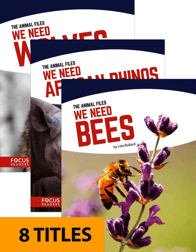 Animal Files (Set of 8)