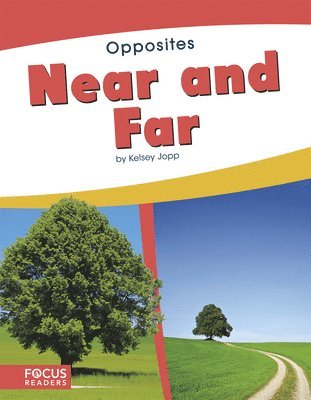 Near and Far 1