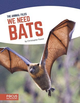 bokomslag We Need Bats