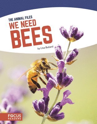 bokomslag We Need Bees