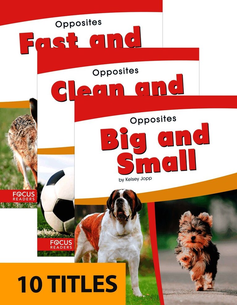 Opposites (Set of 10)