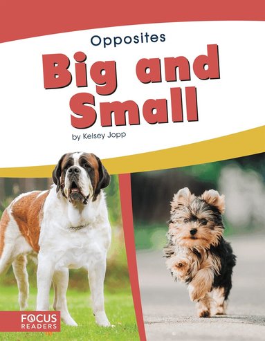 Kelsey Jopp - Big and Small, Häftad