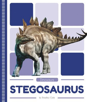 bokomslag Stegosaurus