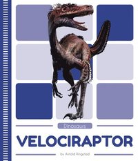 bokomslag Velociraptor